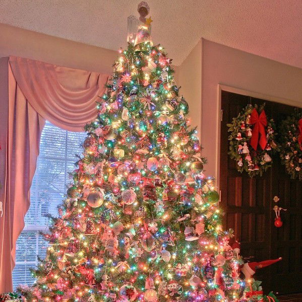 Анастасия Валуева