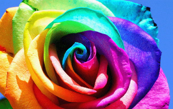 Роза Масагутова