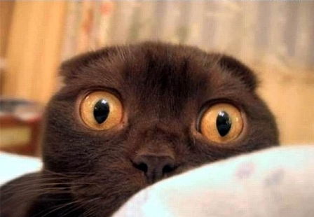 Сергей Уланов