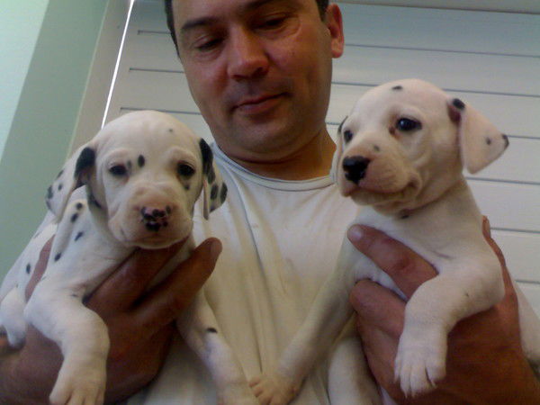 Евгений Гапанов