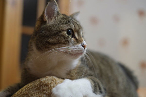 Евгений Кузнецов