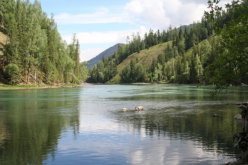 Савутова Гуля