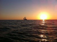 Наталья Пухова