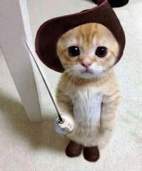 Ксюша Ильичёва