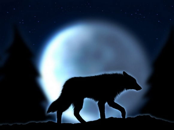 Эля Копылова