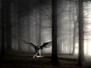 Таня Танечка