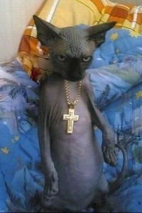 Евген Конюхов