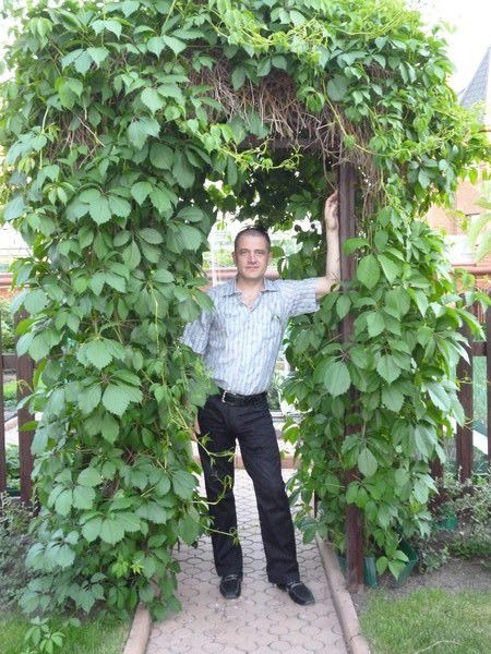 Александр Чернышов