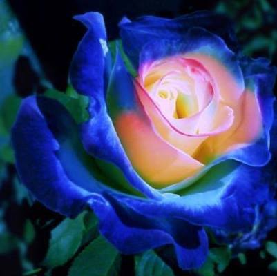 Роман Юрлов