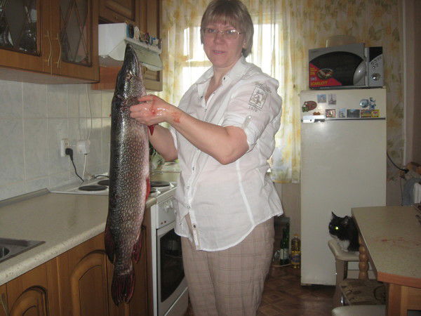 Шутина Елена