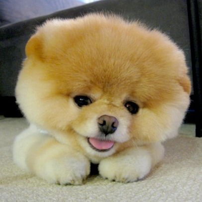 Englishgroup Englishgroup