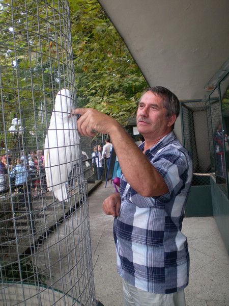 Сергей Дружинин