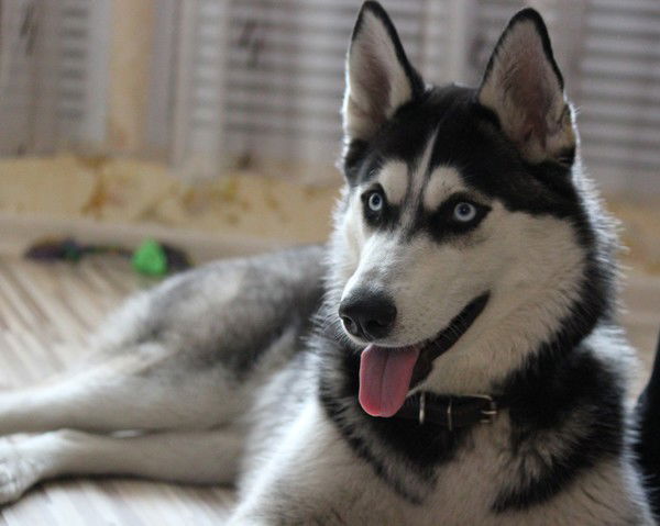 Анна Клачкова