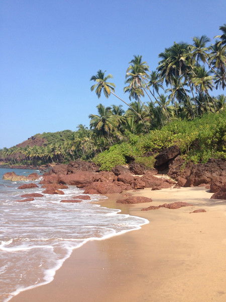 Анна Котова