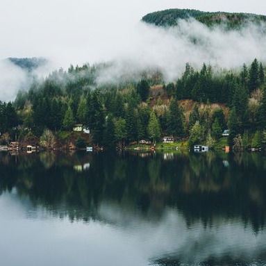 Дмитрий Жданов