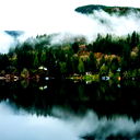 Дмитрий Жданов