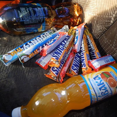 Дарья Никифорова