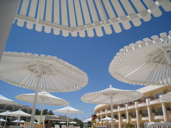 Ольга Пашнина