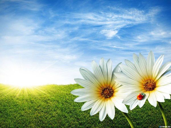 Макс Коротыч