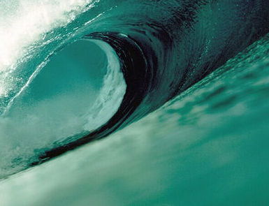 Виталий Карпов