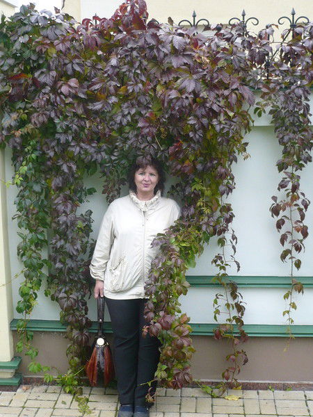 Галина Пышкина