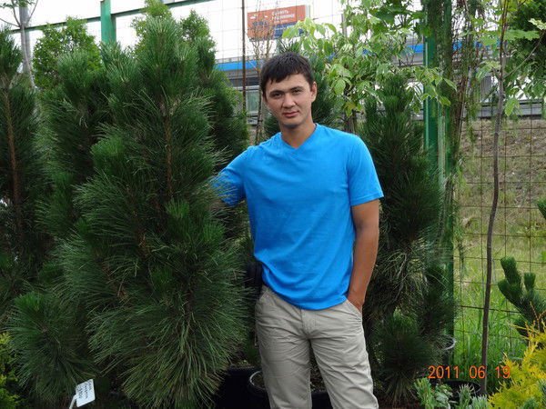 Александр Ким