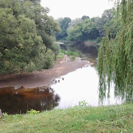 Вера Бархатова