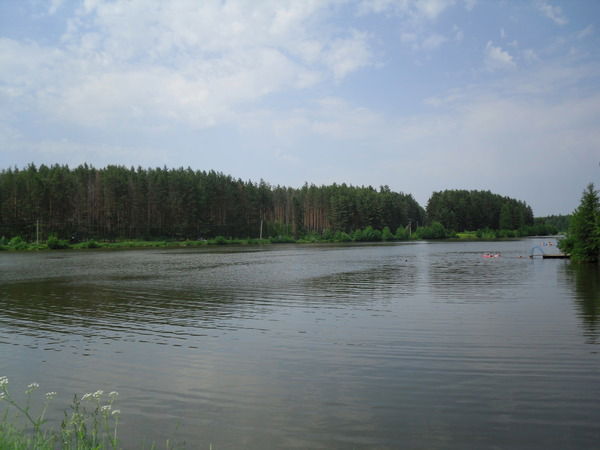 Владимир Мишин