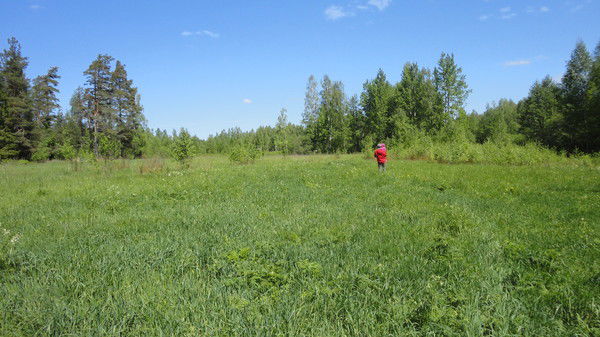 Блощицын Владимир