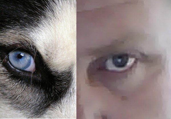 Сами Знаете Кто