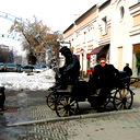 Vlad Skripkin