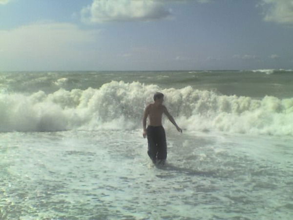 Александр Палеев