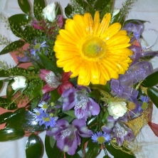 Евгений Степаненко