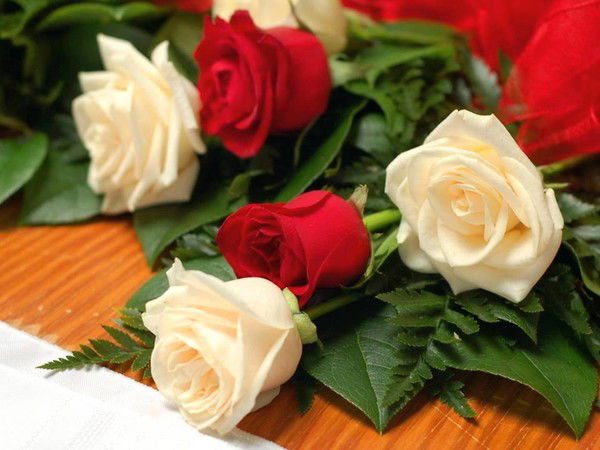 Зейнеб Рустемова