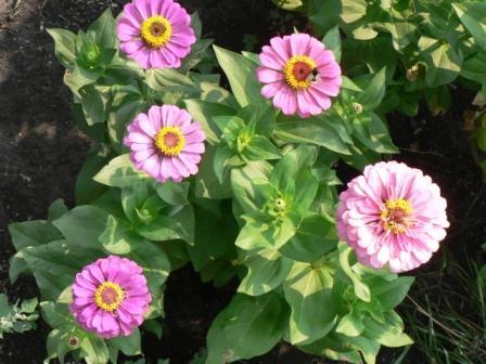 Александр Бельский