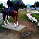 Елнур Бекен