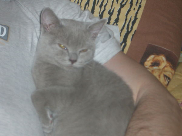 Виталий Козинов