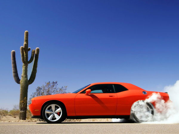 Дмитрий Трутнев