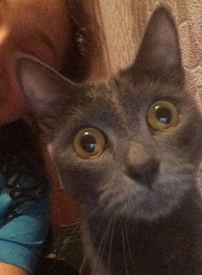 Дарига Калиева