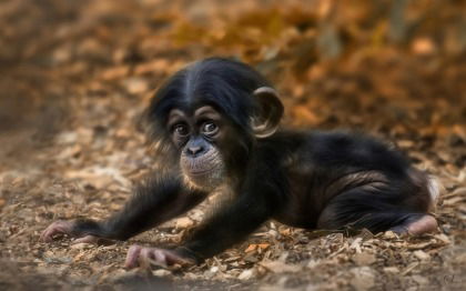 Костя Гусев