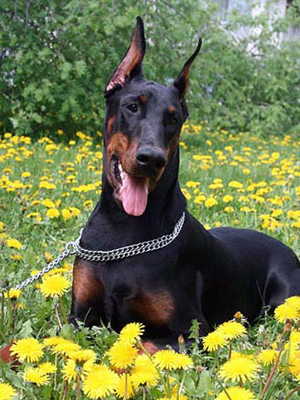 Наталия Щукина