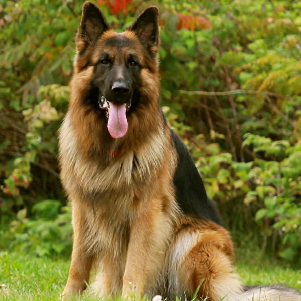 Ольга Гладун