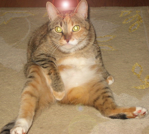 Оленька Гетц