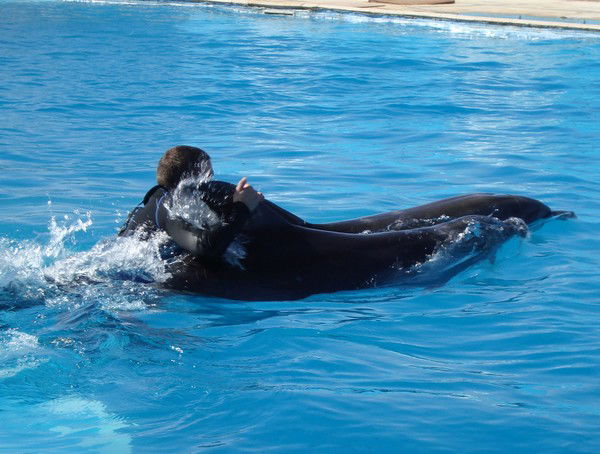 Сергей Жвакин