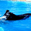 Сергей Жвакин