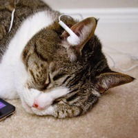 Рената Рената