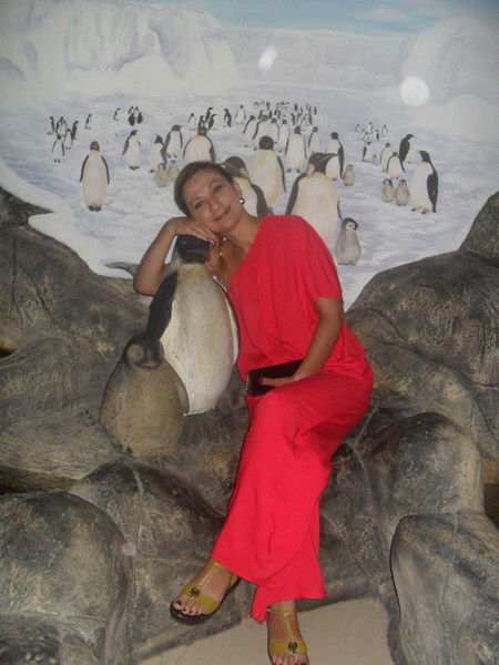 Зайка Зайка