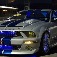 Саша Гордевич