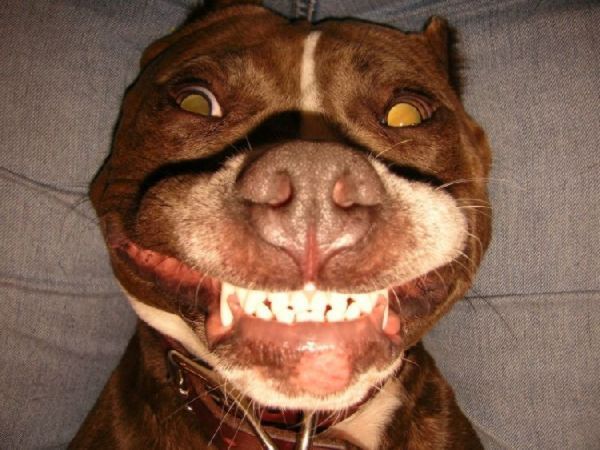 Роман Тихомиров