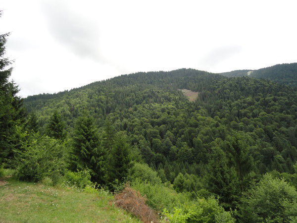 Юрий Казачков